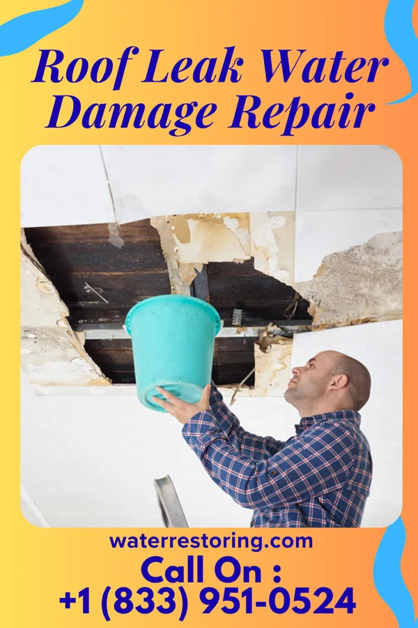 Roof Leak Water Damage Repair in Crystal Rock, OH