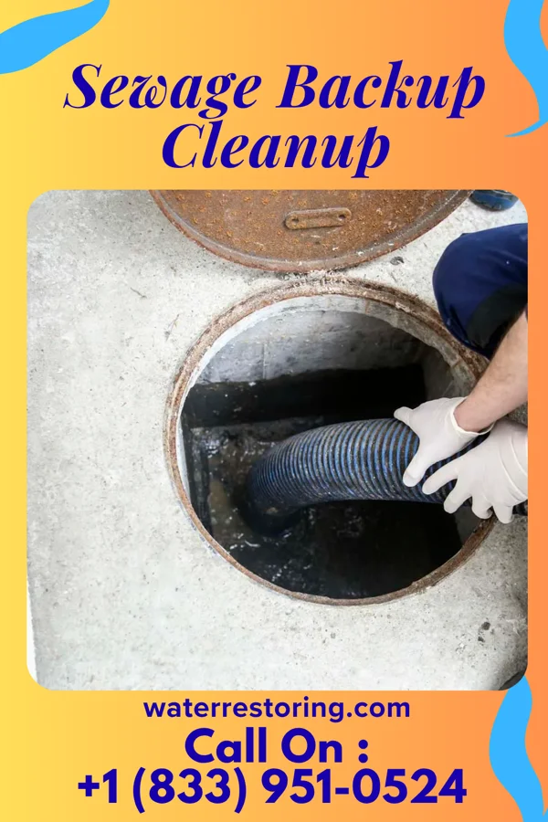Sewage Backup Cleanup in Crystal Rock, OH