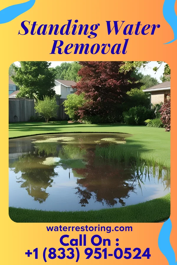 Standing Water Removal in Crystal Rock, OH